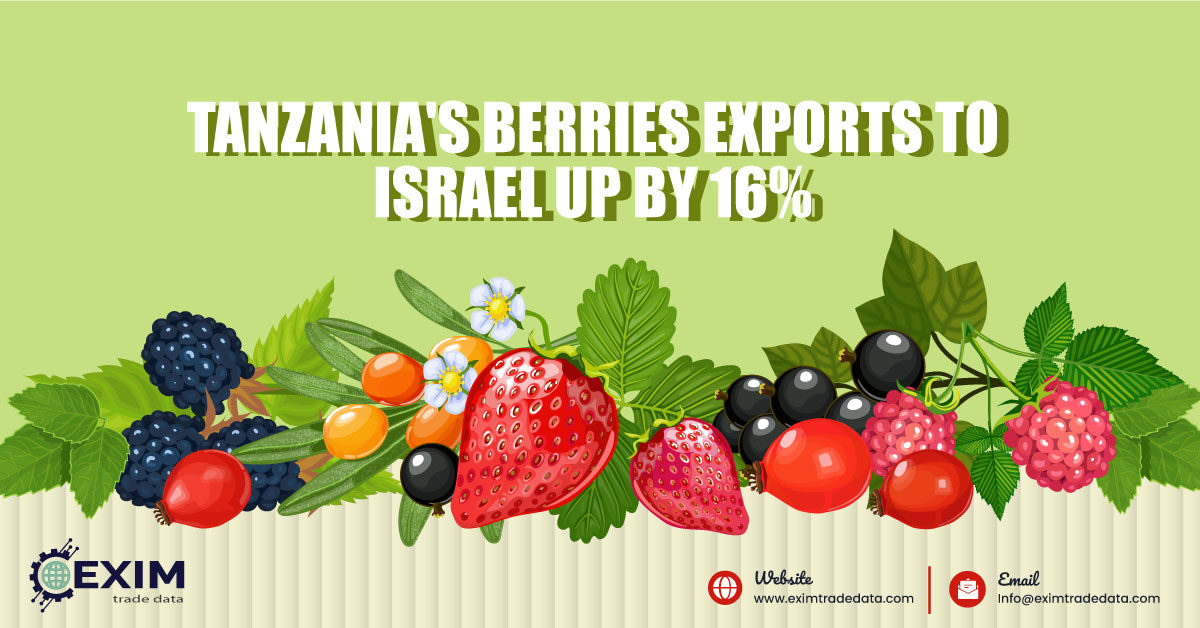 Tanzania's berries exports to Israel up by 16%