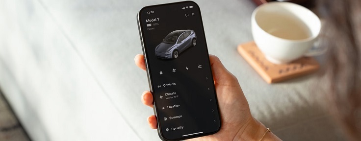 Tesla New Model Y
