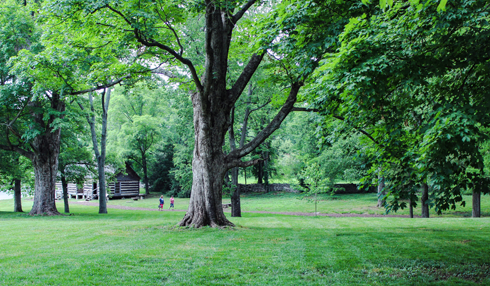 Belle Meade Plantation Winery Nashville Tennessee