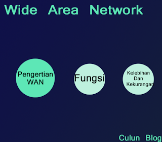 Pengertian Dan Fungsi WAN ( Wide Area Network )