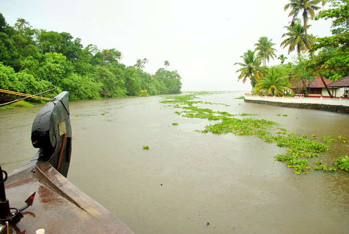 Kerala Gods on country ! Kumarakom Backwaters Beautiful Photos