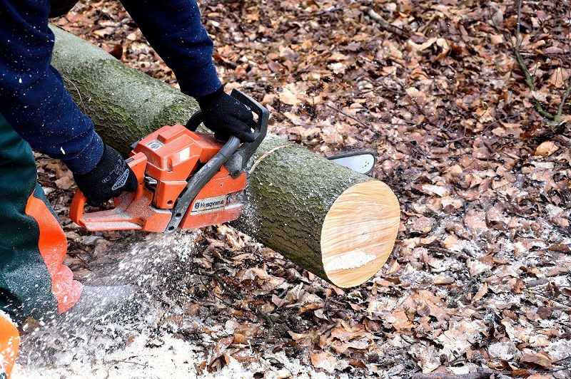 buying-battery-chainsaw