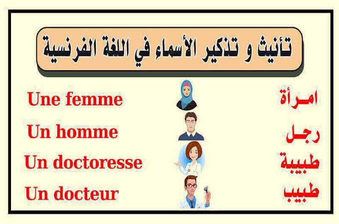 درس تذكير و تأنيث الأسماء في اللغة الفرنسية : " le masculin et le féminine des noms " 