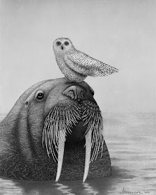 01-Snowy-Owl-and-the-Walrus-Juliet-Schreckinger-www-designstack-co