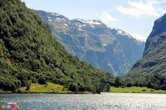 Norway in a Nutshell - Sognefjorden