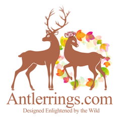 http://antlerrings.com