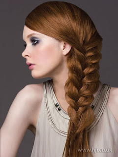 Plaited Hairstyles - Celebrity hairstyle ideas for girls