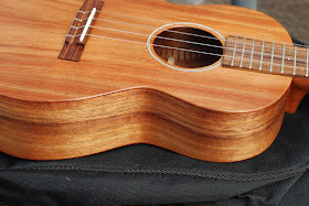 Martin T1K ukulele sides