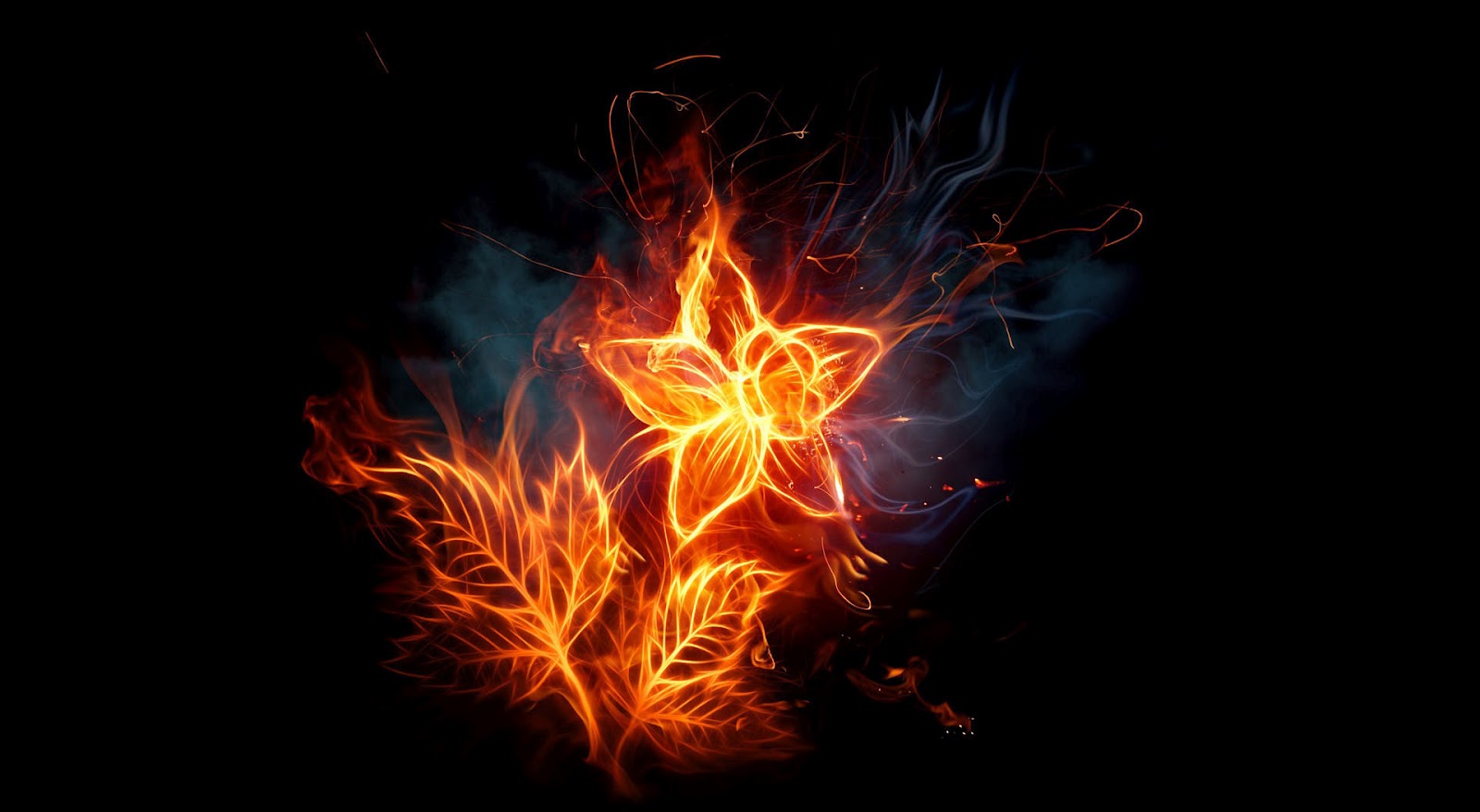 flower,fire,graphic,