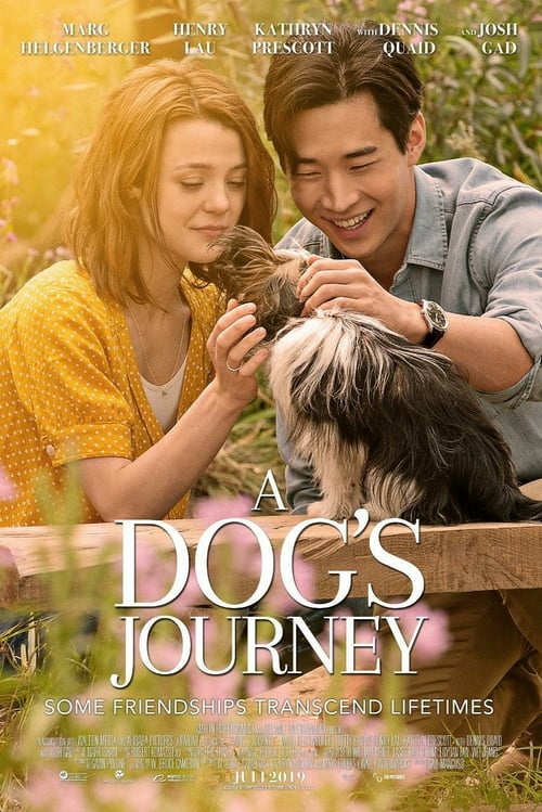 [HD] Mes autres vies de chien 2019 Film Complet En Anglais