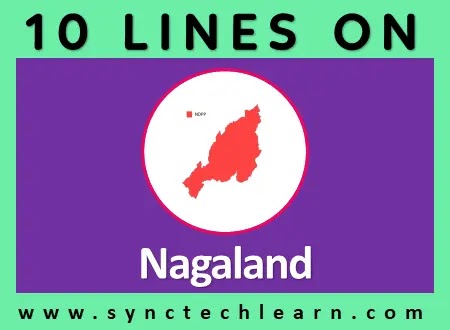 10 lines on Nagaland in English