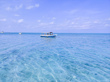 The Very Best and Worst time to Visit Lakshadweep - When to Go and What to See
