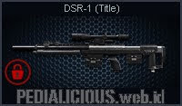 DSR-1 (Title)