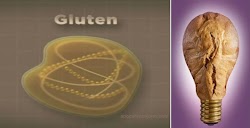 Γλουτένη είναι πρωτεΐνη του ενδοσπερμίου του μαλακού σιταριού, κριθαριού και σίκαλης, η οποία αποτελείται από τη γλοιαδίνη και γλουτελίνη.  ...