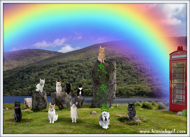 The B Team's Uragh Stone Circle Selfie ©BionicBasil® Sunday Selfies Blog Hop