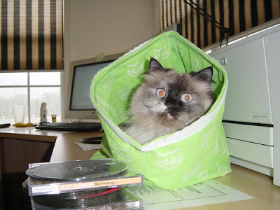 Don't let the cat out of the bag! Seen On www.coolpicturegallery.net