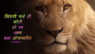 lion wallpaper with quotes in hindi,ak91,lion images hd lion attitude status in hindi 2 line lion quotes in gujarati lion quotes in hindi shayari