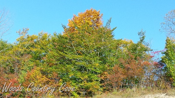 20151008_095522