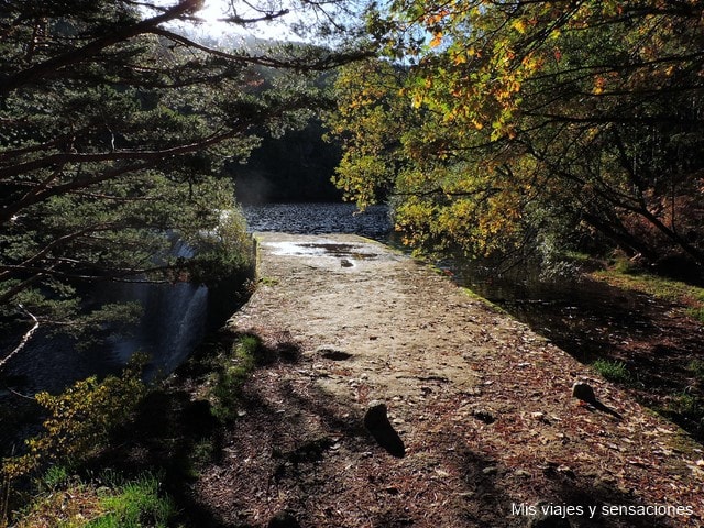 Arroyo de la Angostura, Rascafria