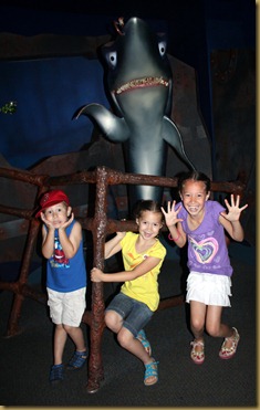 IMG_0381 IMG_0381