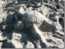 SandSculptureTurtle