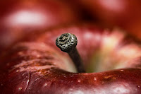 http://commons.wikimedia.org/wiki/Image:Apple_Closeup.jpg