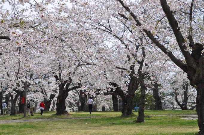 20150501 DSC 0454