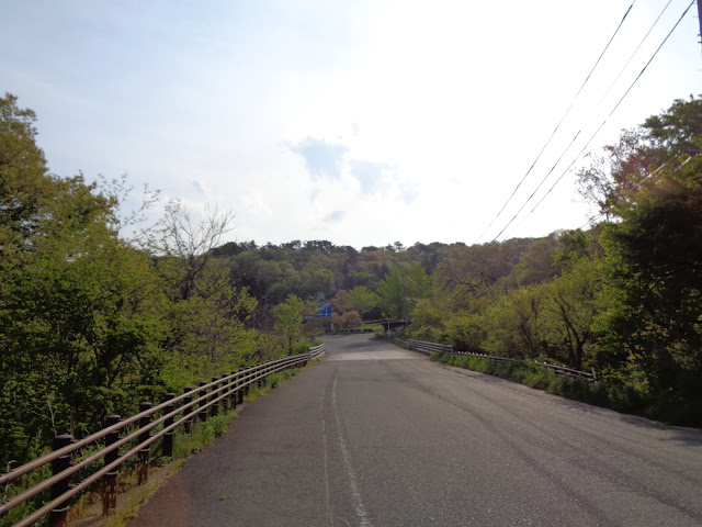 大山環状道路