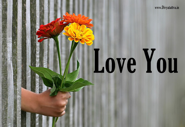 i love you wallpaper, loving flowers, proposing love hd photos, desktop love wallpaper backgrounds