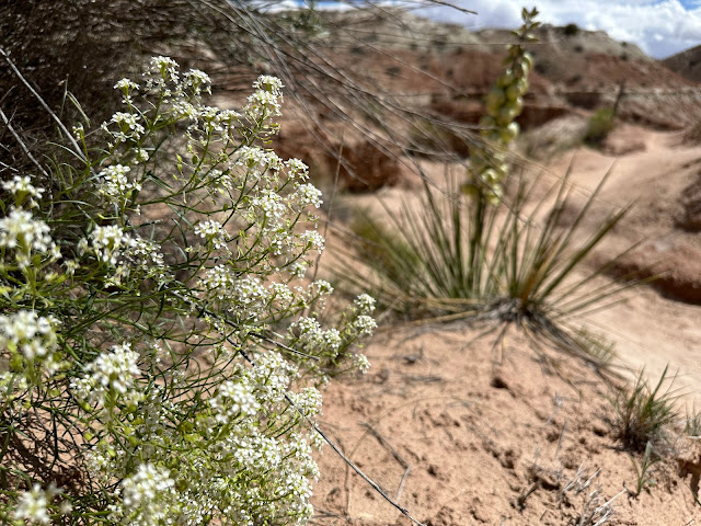 Grand Staircase-Escalante National Monument