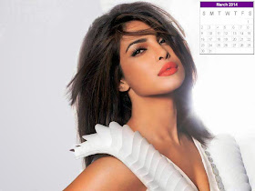 Priyanka Chopra Calendar 2014