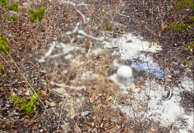 Ossada humana é encontrada em matagal próximo a Lagoa do Portinho em Parnaíba