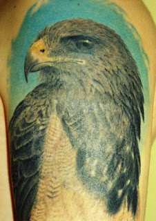 hawk tattoo