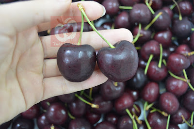 Cách phân biệt cherry chile, Mỹ với cherry Trung Quốc