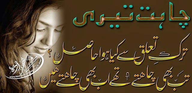 Tarq-e-Taluq Se Kiya Hua Haasil..