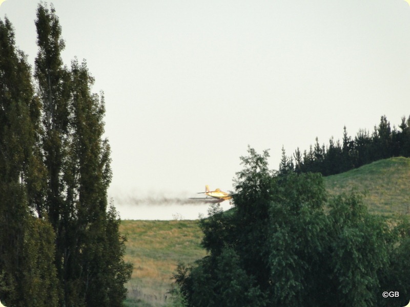 DSC06476