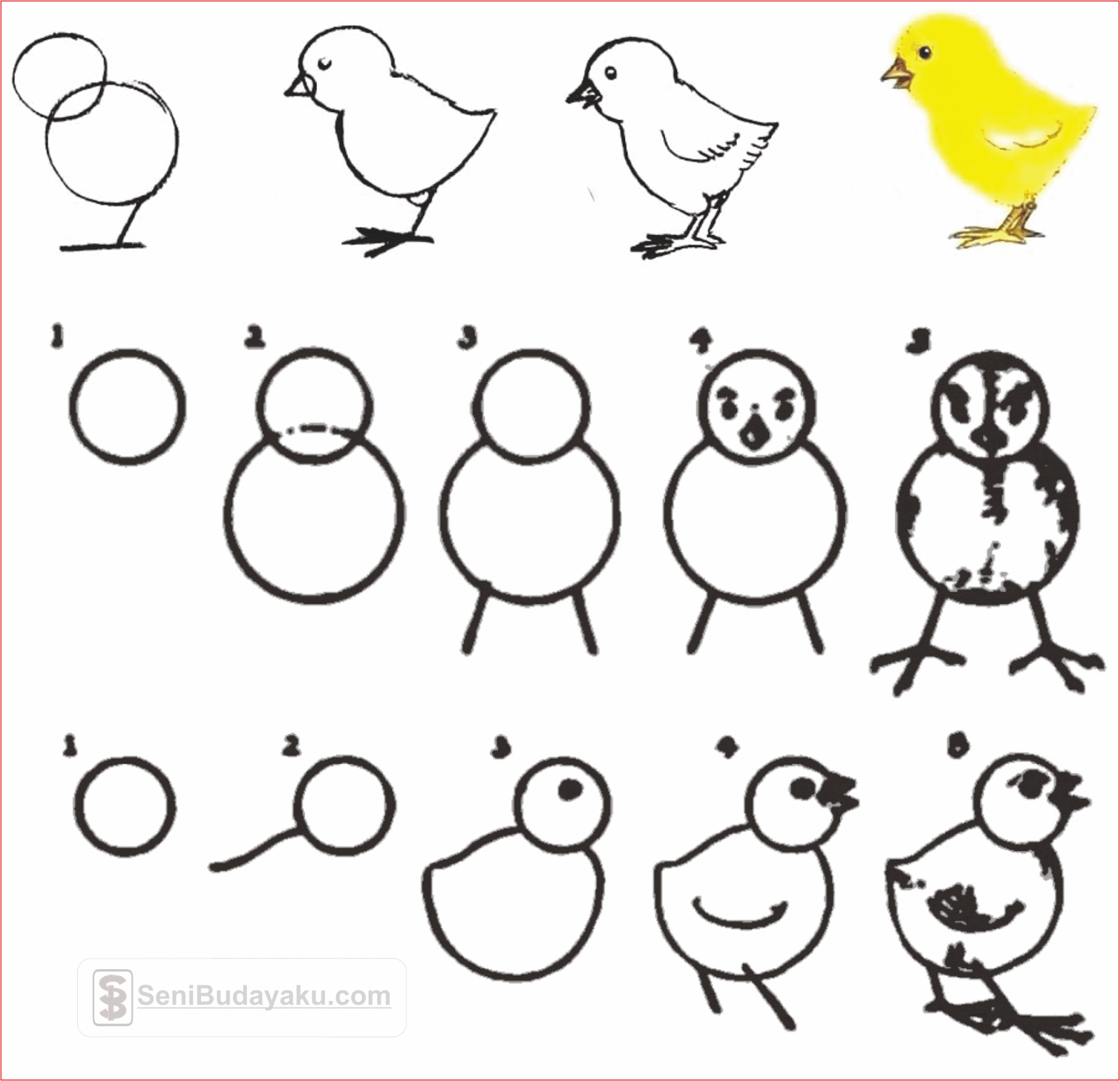 10 Cara Menggambar Ayam Dengan Mudah Seni Budayaku