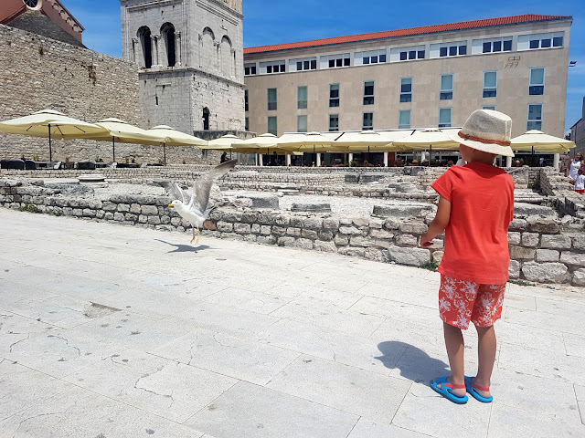 Chorwacja z dzieckiem - Chorwacja 2018 - Zadar - morskie organy - Nin - Kościół Świętego Krzyża - lecznicze błota Nin - Ninska Laguna - piaszczysta plaża w Chorwacji