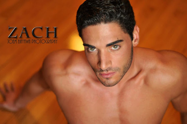 gay, Hombre, Homoerotico, Homosexual, modelo, musculoso, semi-desnudo, Zach Tesar, 