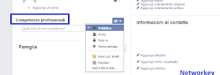 Professione Facebook