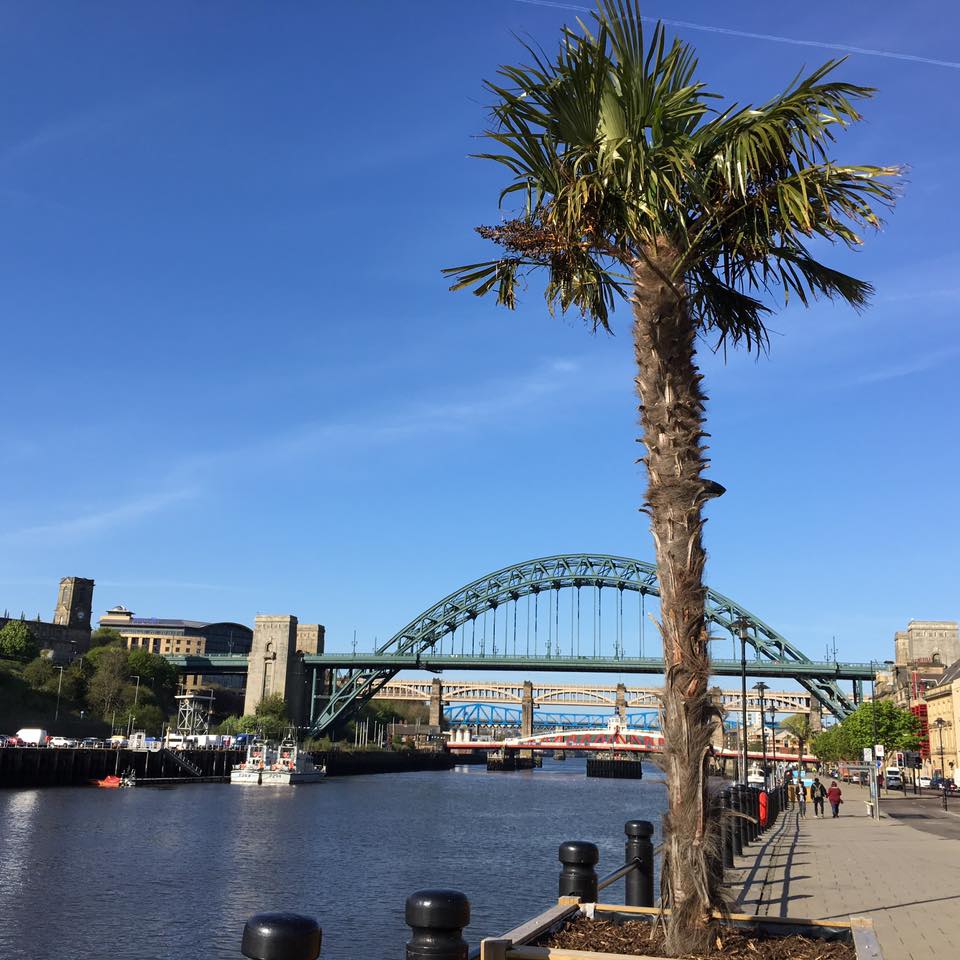 10 Places To Visit | Newcastle - Gateshead Quayside | North East Family Fun