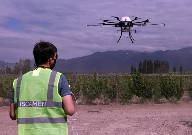 Polilla de la Vid: Iscamen utiliza drones de precisión para el control de la plaga