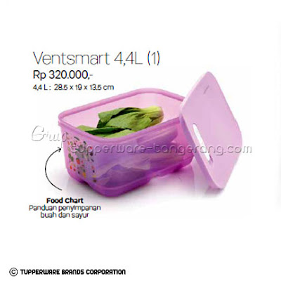 Ventsmart 4,4L Promo Tupperware April 2016