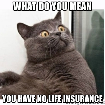 pet-life-insurance