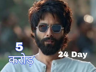 Kabir Singh total Collection