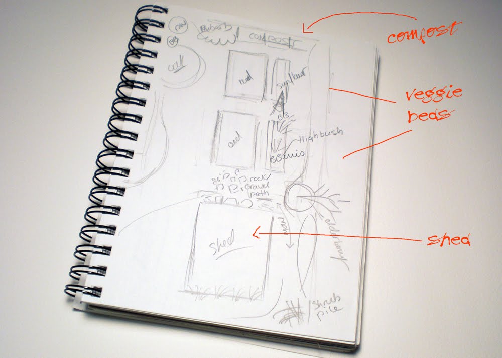 shed layout ideas