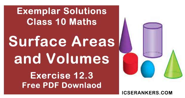 Chapter 12 Surface Areas and Volumes NCERT Exemplar Solutions Exercise 12.3 Class 10 Maths