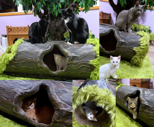 Unique Cat Tree