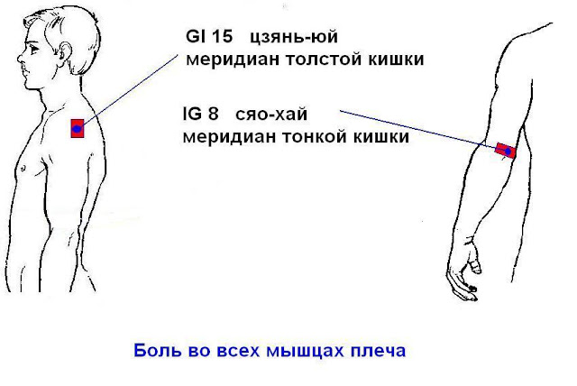Для чего нужно плечо. Цзянь Юй точка. Gi 15 точка акупунктуры. Болевые точки плечевого сустава. Болевые точки при артрозе плеча.