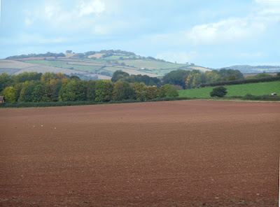 Devon view, October. Photograph copyright © Belinda Whitworth 2020